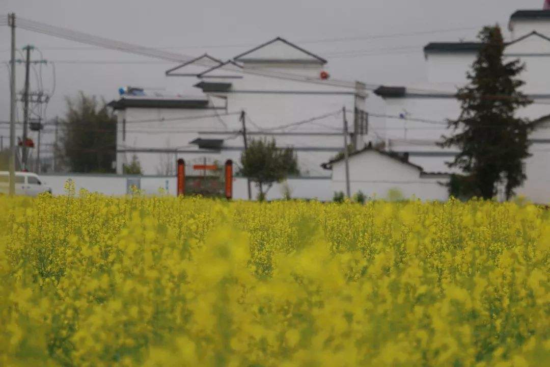 废旧老屋去 良田美景来——拆旧复垦助推南粤乡村振兴 