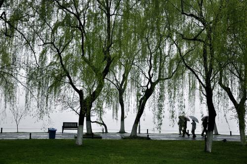 68年大数据告诉你：清明时节到底哪里雨纷纷？