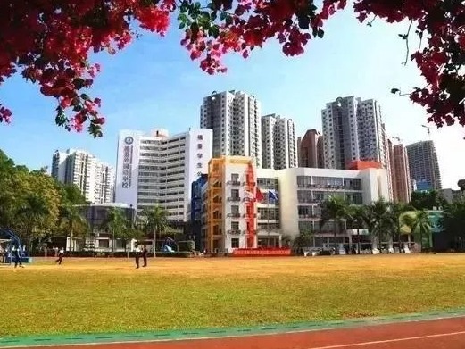 深圳这所学校20周岁了，她有多牛你知道吗？
