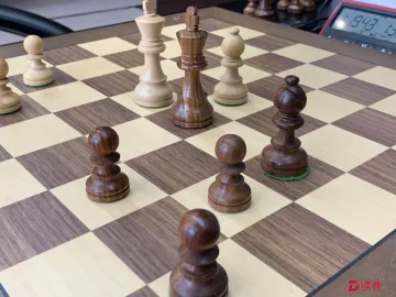 读特杯国际象棋赛让我认识了深圳 