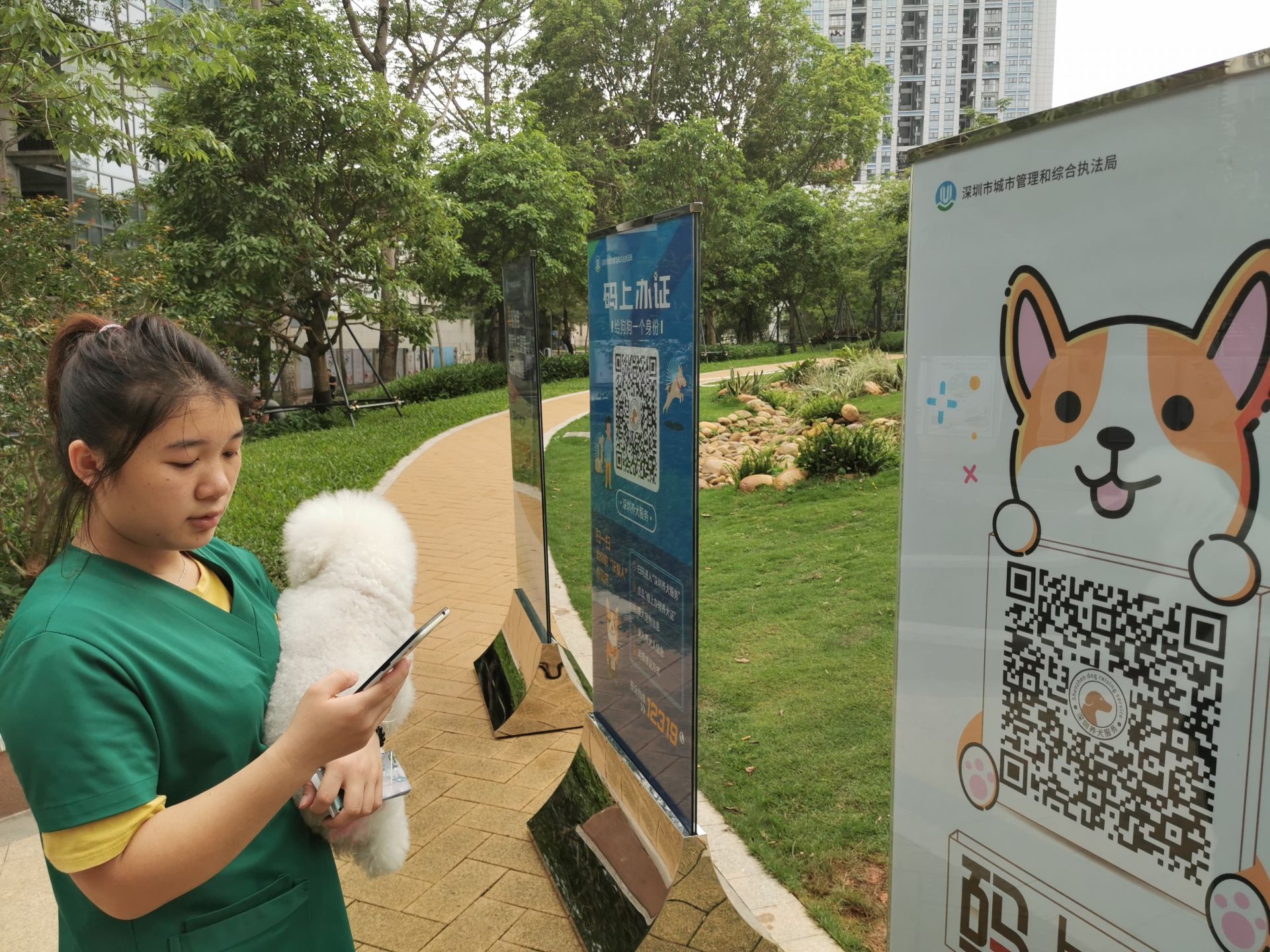 叮视频｜深圳“电子犬证”上线，狗狗身份证“码上”办！