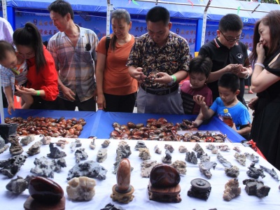 宝安区第二届赏石文化节”在海上田园举行