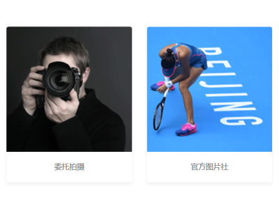 视觉中国恢复网站上线运营 未登录用户无法检索图片