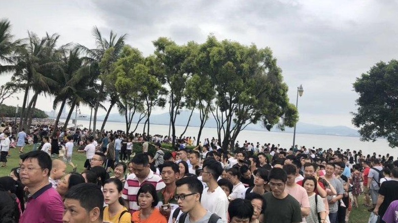 五一深圳公园接待225余万人次！其中一半人都去了这里……