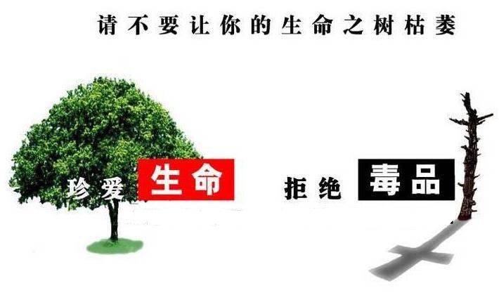 纪念虎门销烟180周年，龙华各社区开展禁毒宣传活动
