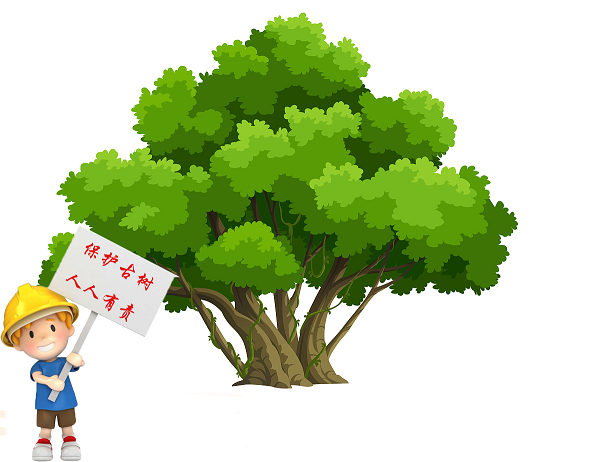 龙华区检察院向相关部门送达建议书，建议损害古树违法行为移送至公安机关处理