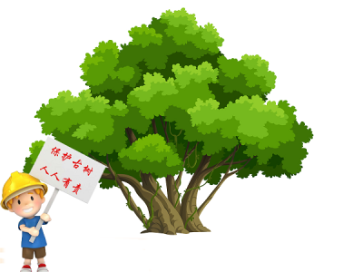 龙华区检察院向相关部门送达建议书，建议损害古树违法行为移送至公安机关处理