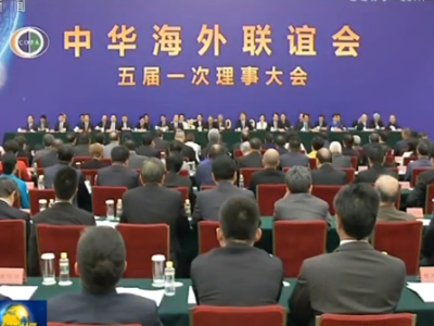 习近平会见第九届世界华侨华人社团联谊大会