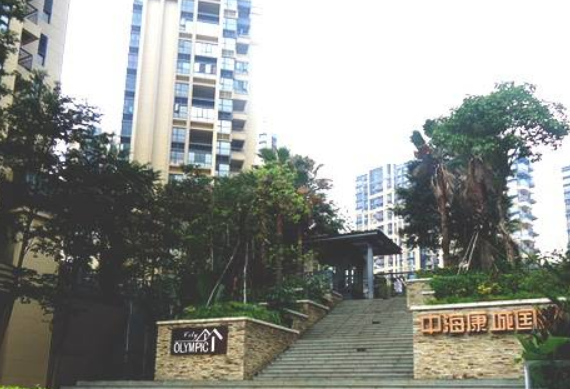 民呼我应！龙城街道组织人大代表开展道路交通视察活动