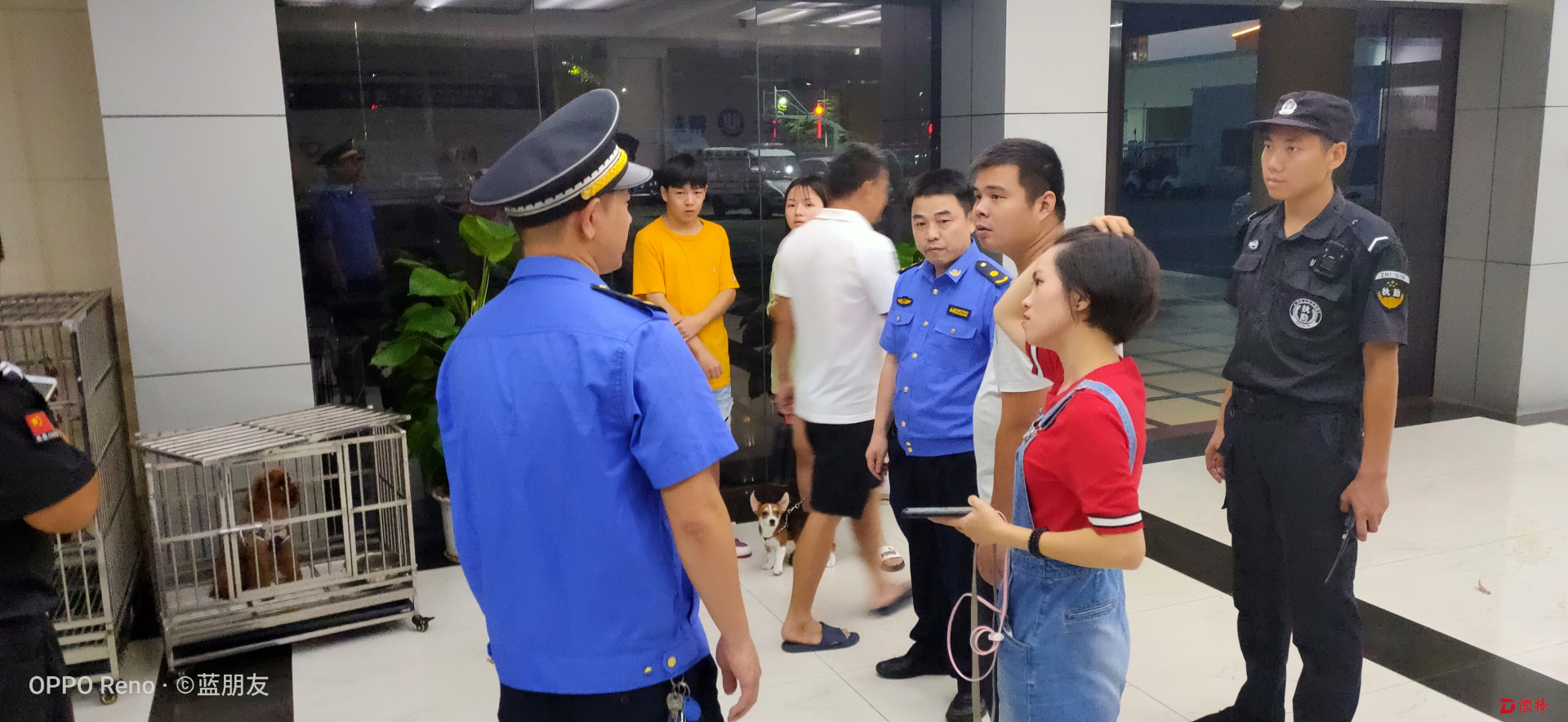 动真格！福永执法队立案处罚未经登记擅自养犬行为3宗