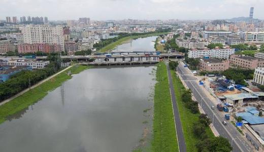张光军调研茅洲河治理和登革热防控等工作