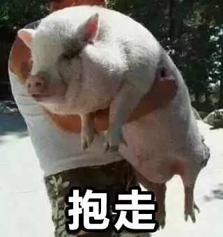 一个“严肃”的故事，猪肉荣的“陨落”