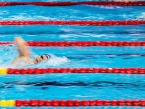 祝贺！国际泳联世锦赛收官 中国队16金位列奖牌榜榜首