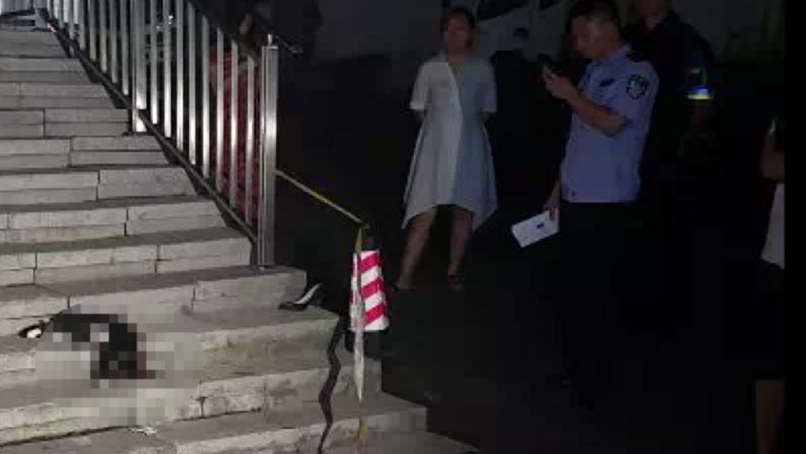 猫咪高空坠落砸伤老人，猫主人仍未找到