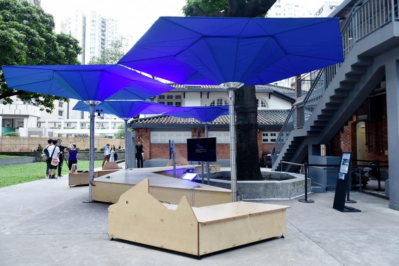 香港通过“动力筑影”艺术项目增强自然意识