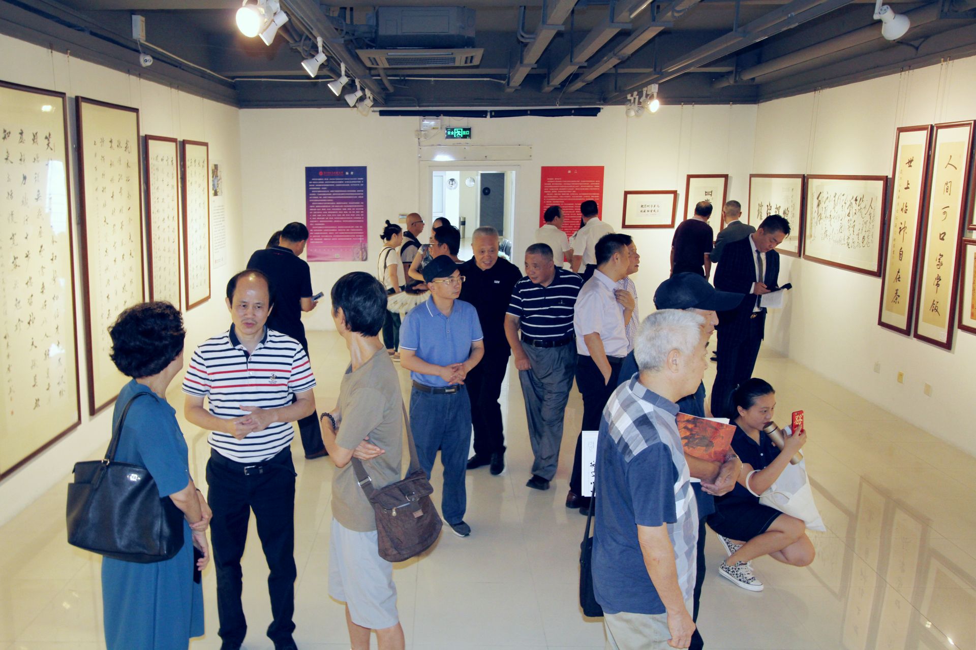 丹青雅韵颂中华！深圳市多元收藏协会书画展开展