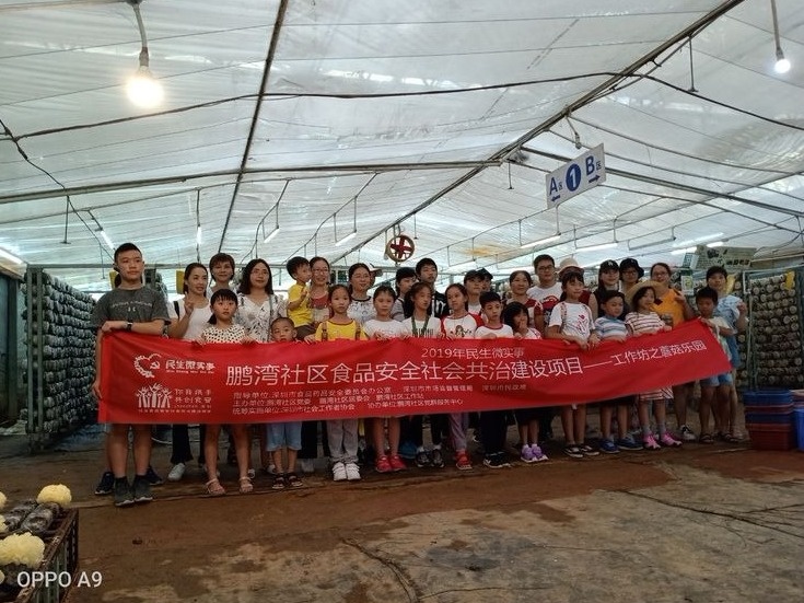 鹏湾社区举办暑期食品安全之蘑菇园作坊体验活动