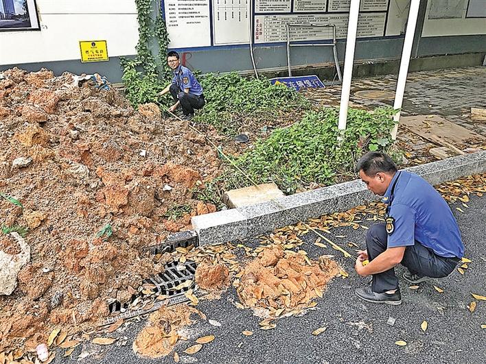 决不手软！光明区凤凰街道执法队查案严惩偷倒渣土行为