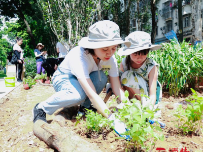 一起走进都市田园生活：深圳共建社区花园邀你参与！