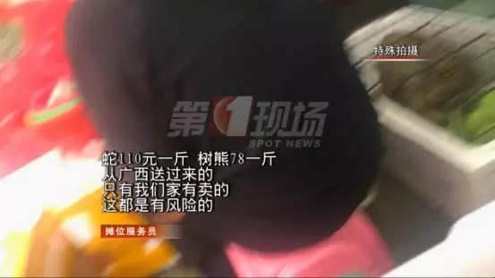 宝安一市场里，竟然有人公开售卖“树熊”？而且还能吃？