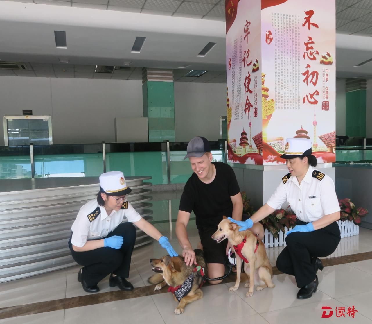 保障“汪星人”远航  观澜海关为宠物出境提供优质服务