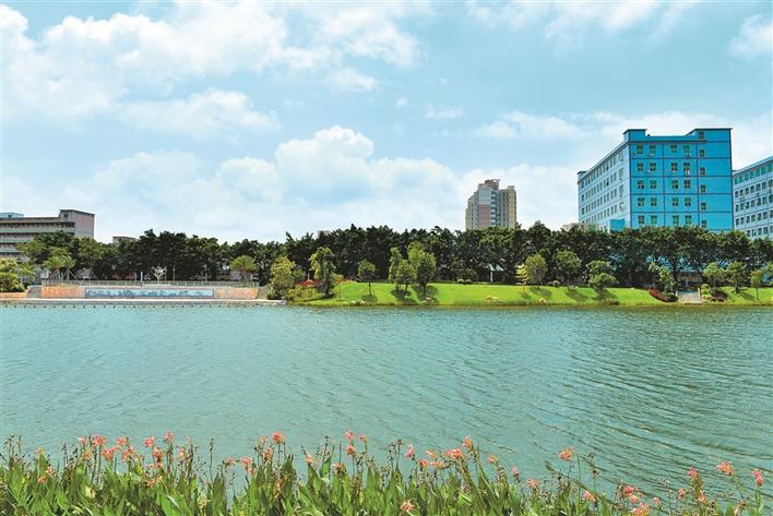 宝安万丰湖治理改造：昔日死水一潭 今变湿地公园