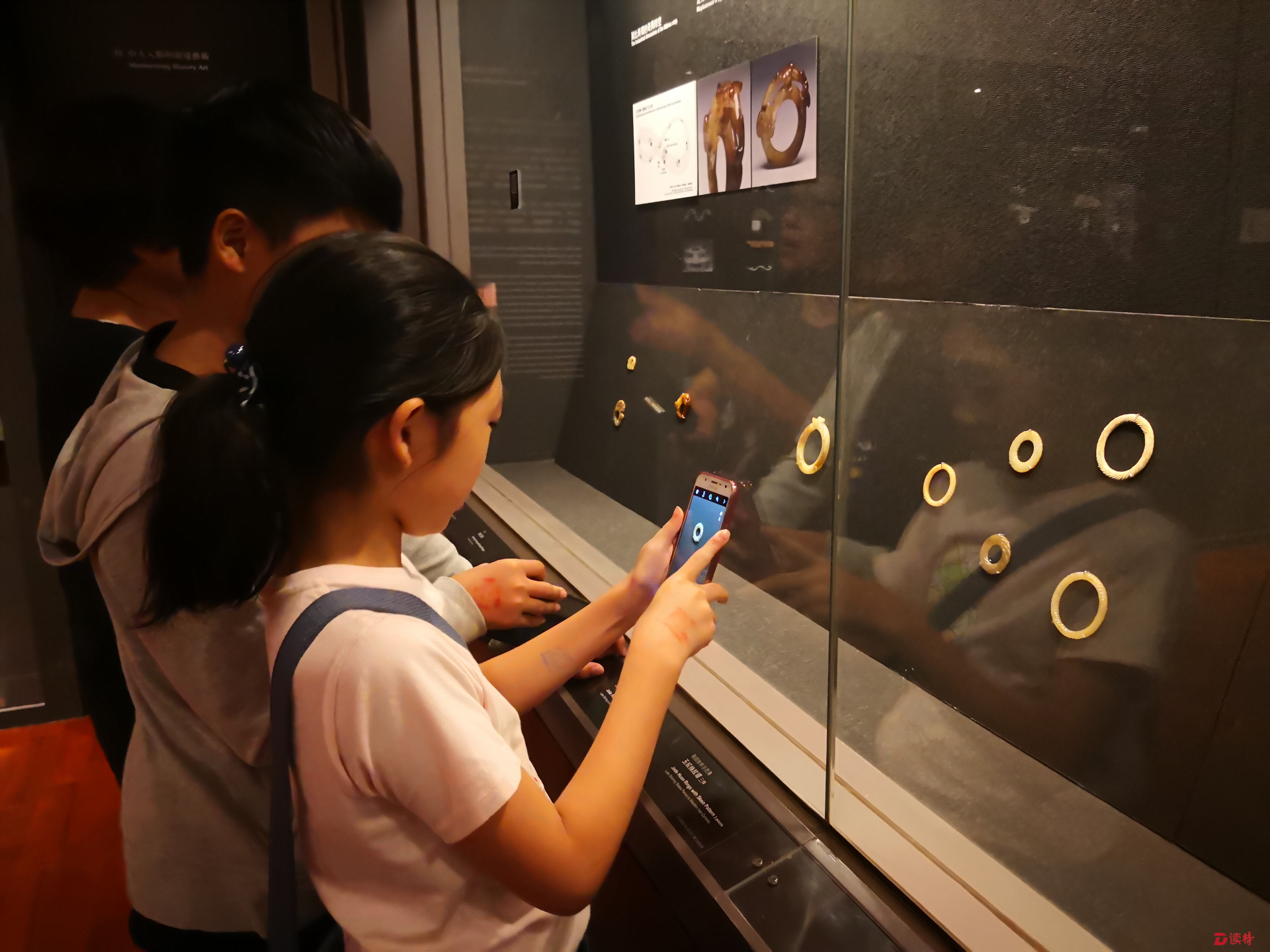 让古画中的动物跳出来！台北故宫暑期推出“动物园”专题展