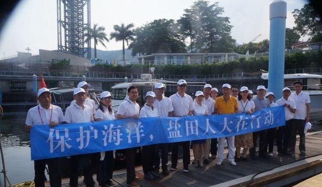1000尾石斑鱼苗游进大海！盐田区人大代表参与海洋环保公益活动