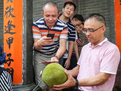 东莞拍卖百年菠萝蜜树果实，2.08万元悉数捐赠慈善