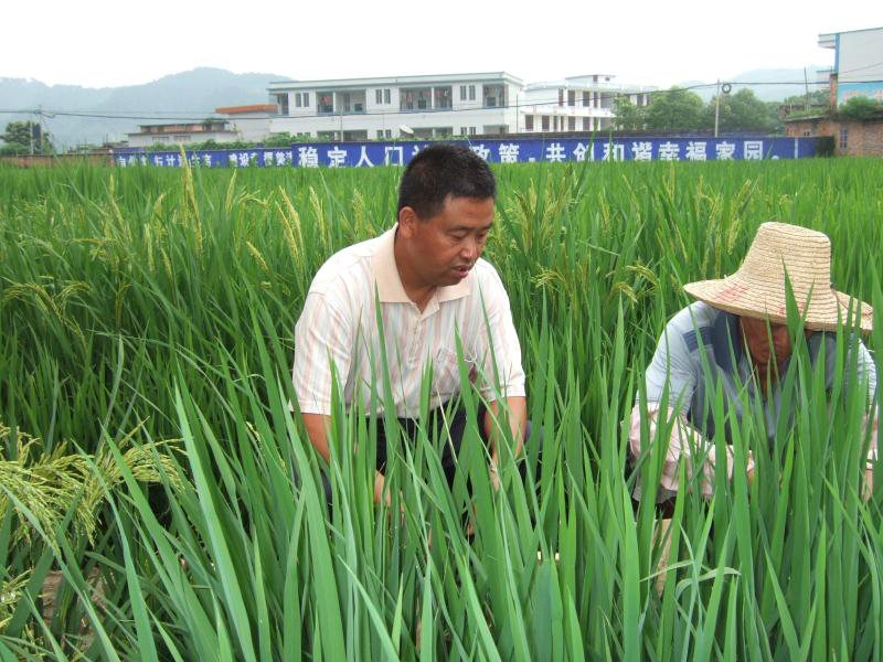 爱国情 奋斗者 | 连山农科所所长陈嗣建：为连山土地撒下希望的种子