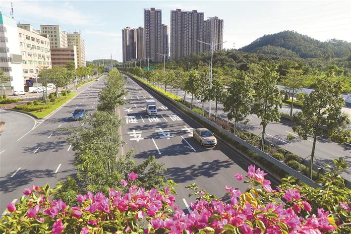 龙华区“福城模式”破题基层治理困局，创新共建共治共享新格局