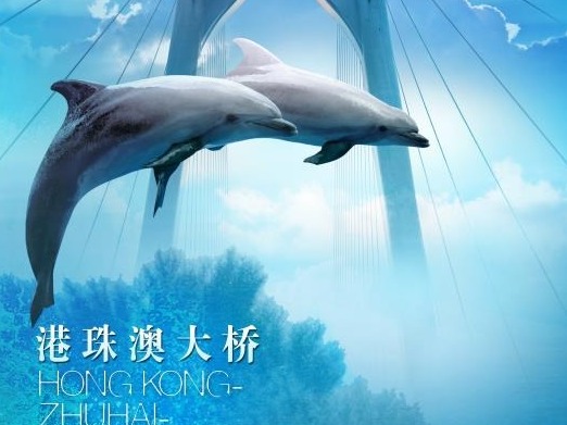纪录电影《港珠澳大桥》有了音像出版物！