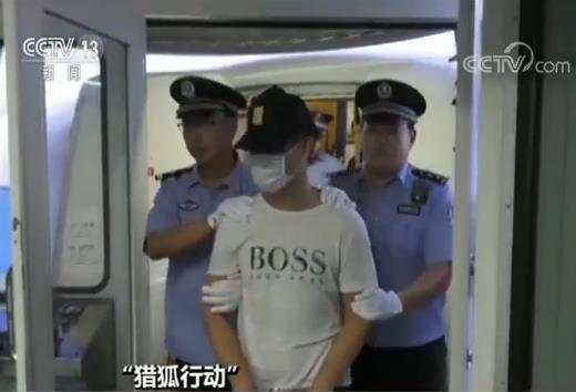 再添战果！“猎狐行动”一目标逃犯被押解回国