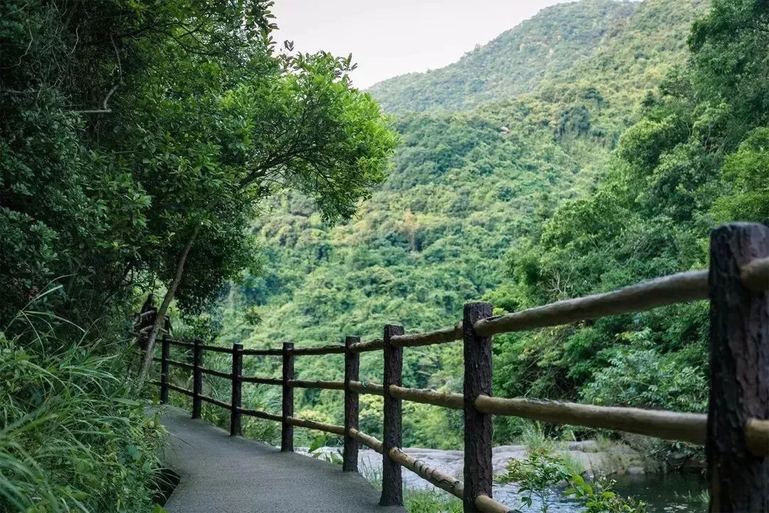 点亮城市文明的靓丽颜色，感受坪山“近者悦，远者来”的魅力