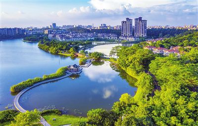 东莞全力支持深圳建设中国特色社会主义先行示范区