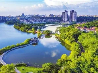 东莞全力支持深圳建设中国特色社会主义先行示范区