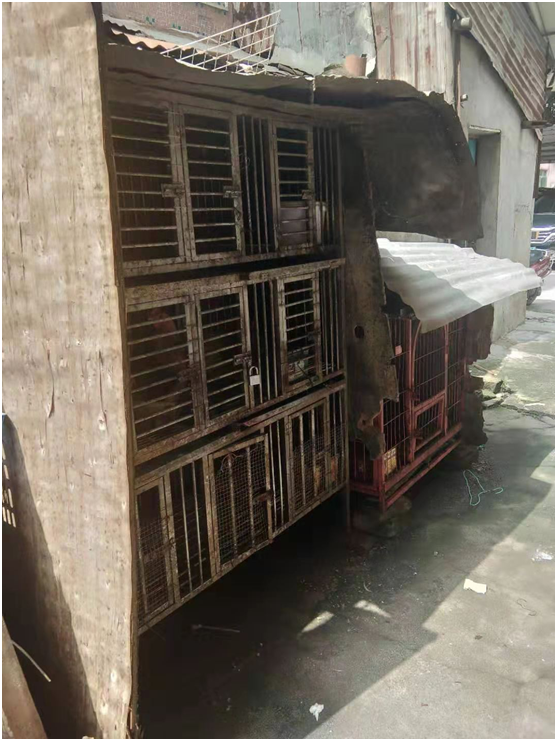 福海3宗城中村出租屋饲养活禽被查