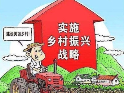 广东推进乡村振兴战略实绩考核 深圳的成绩就一个字：好！