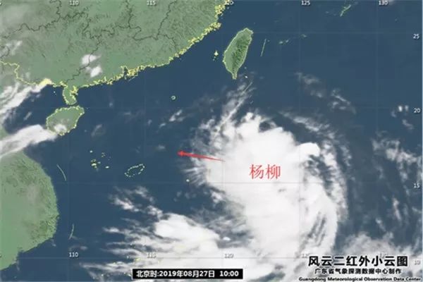“白鹿”乱撞后“杨柳”又来了！深圳发布台风白色预警