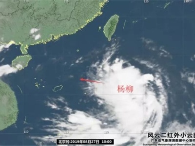 “白鹿”乱撞后“杨柳”又来了！深圳发布台风白色预警