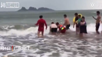 疑似海豚生物搁浅广东海滩 众人合力将其送回大海