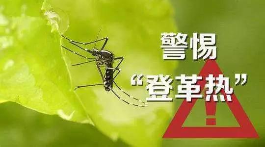 广东进入登革热本地流行季 专家提醒外出旅游慎防登革热
