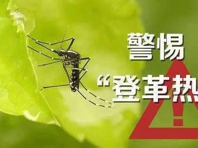 广东进入登革热本地流行季 专家提醒外出旅游慎防登革热