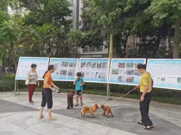 深圳这个小区养狗很文明，全市将推广其养犬管理模式