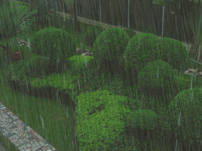 深圳市龙岗区、坪山区分区暴雨橙色预警升级为红色