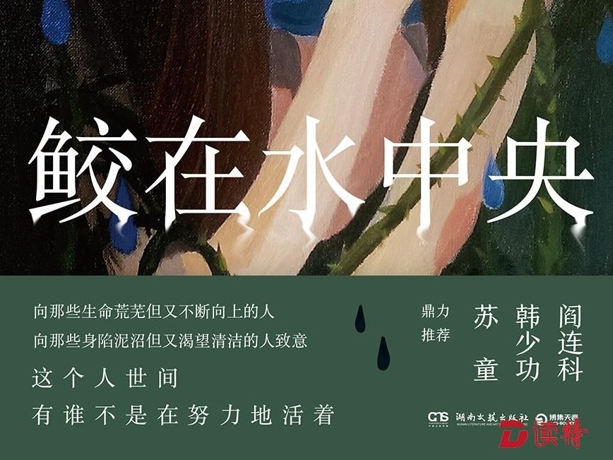 孙频推出新作《鲛在水中央》：从尖锐的痛感走向开阔与宽容
