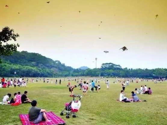 莲花山公园十二时辰，哪一刻是你心中的最爱？
