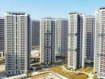 5年助700万市民圆梦安居——记深圳市住房和建设局住房改革与发展处
