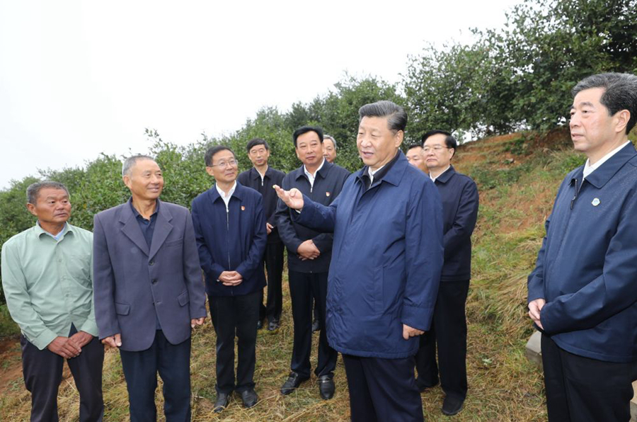 农业强 农村美 农民富 习近平这样关心三农问题 