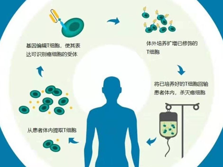 著名专家学者“论剑”第三届肿瘤细胞免疫治疗深圳峰会
